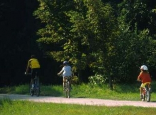 Partir faire du VTT en famille.jpg
